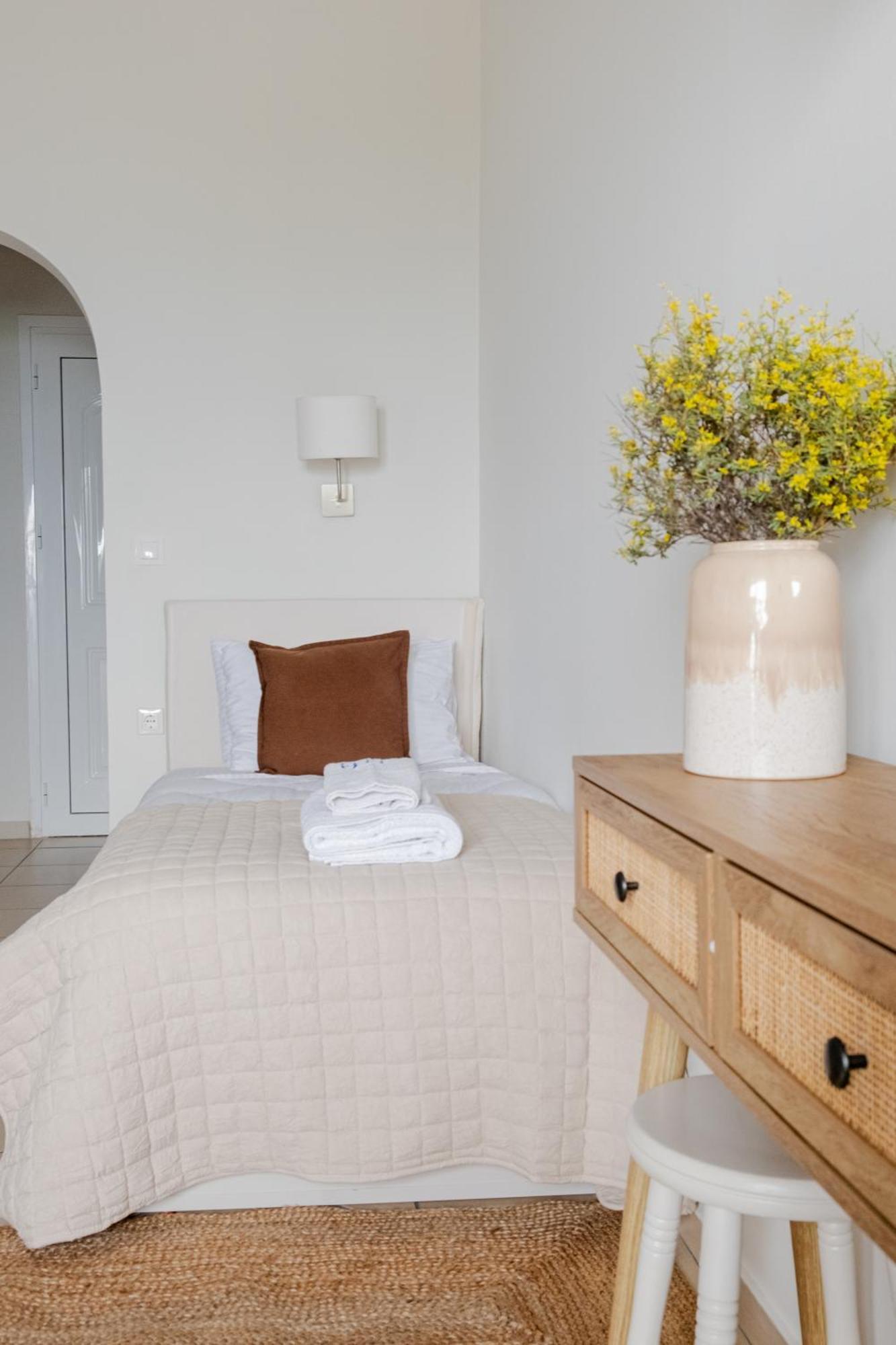 Blue House Apartments Vasilikí 部屋 写真