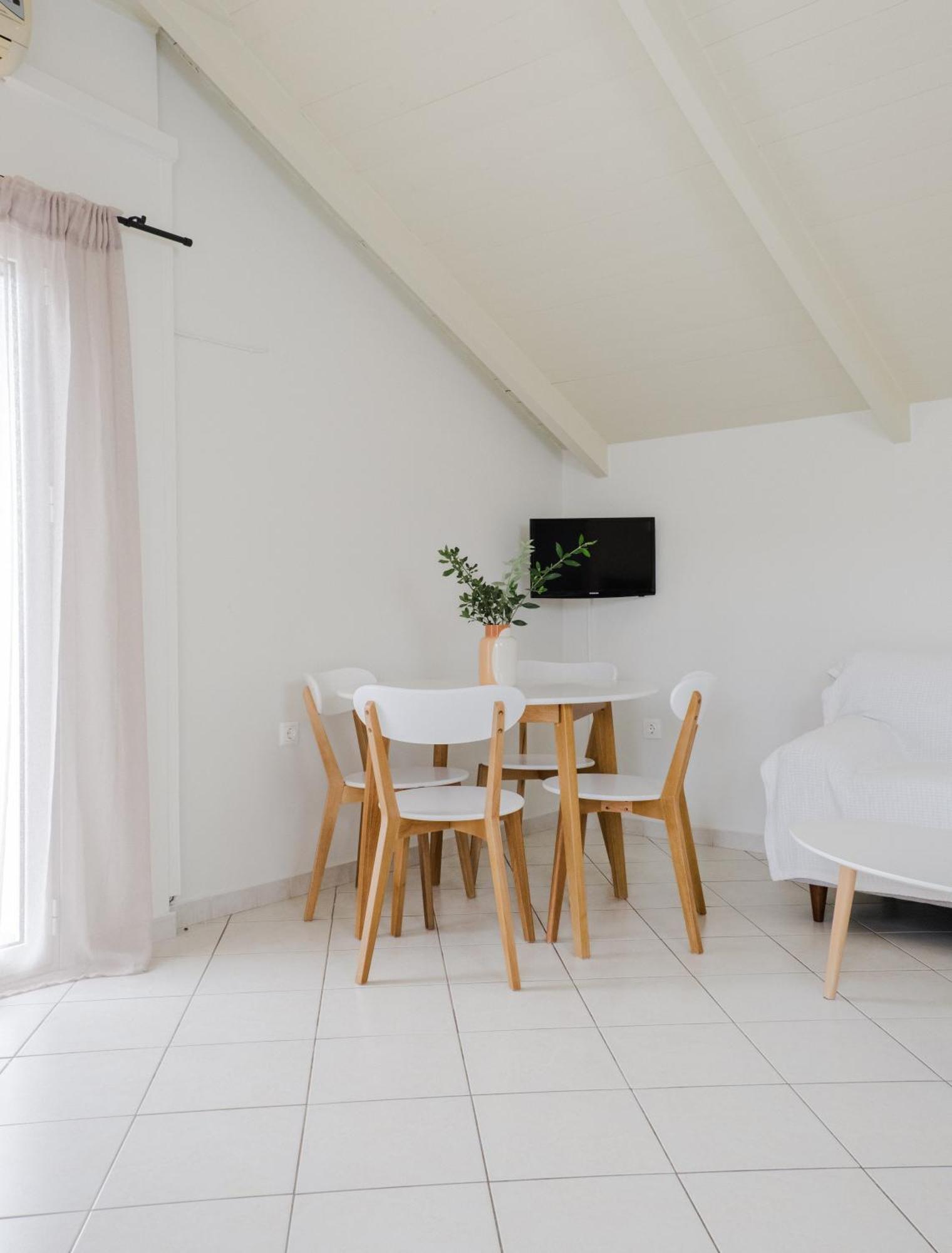 Blue House Apartments Vasilikí 部屋 写真