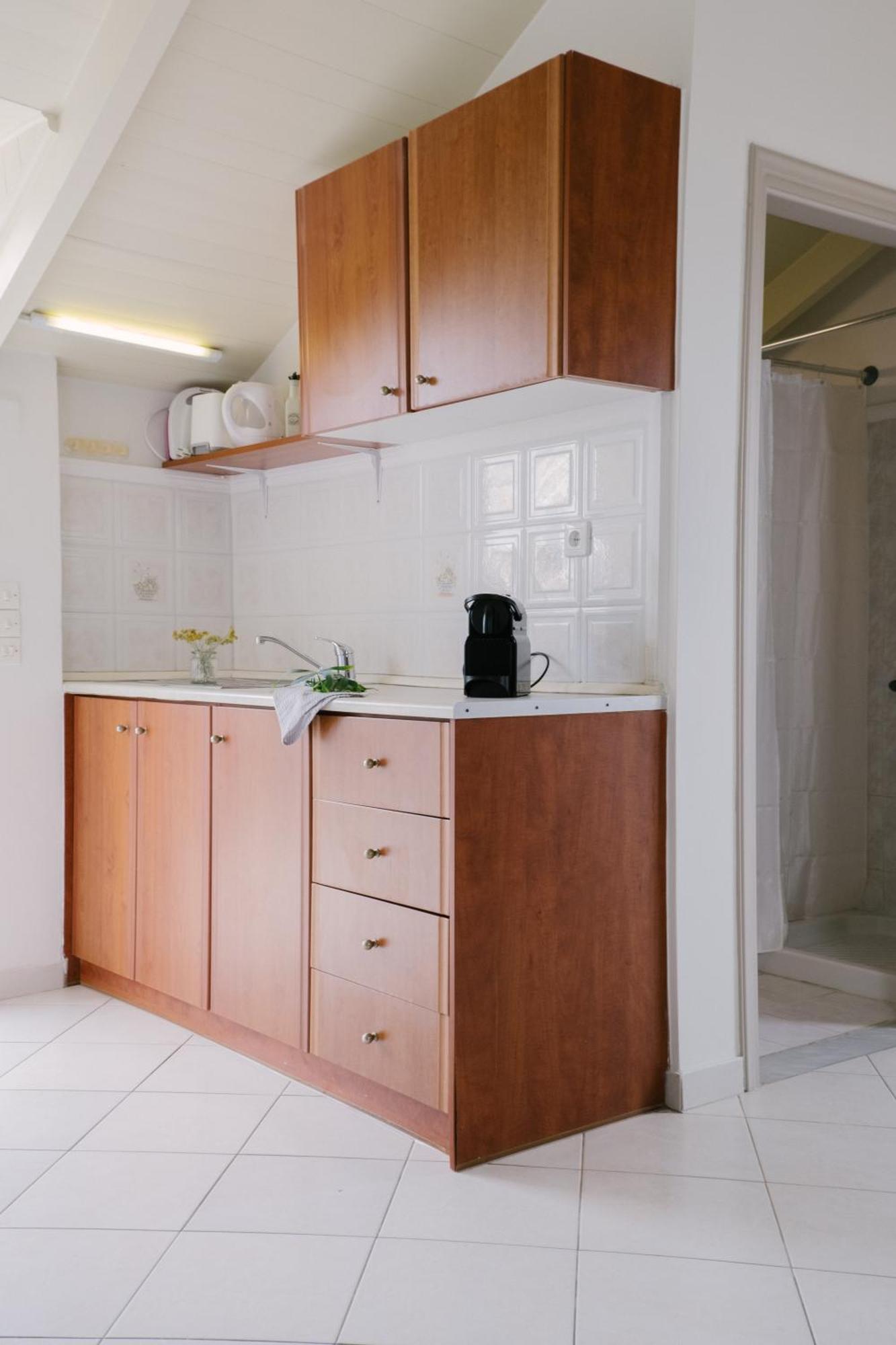 Blue House Apartments Vasilikí 部屋 写真