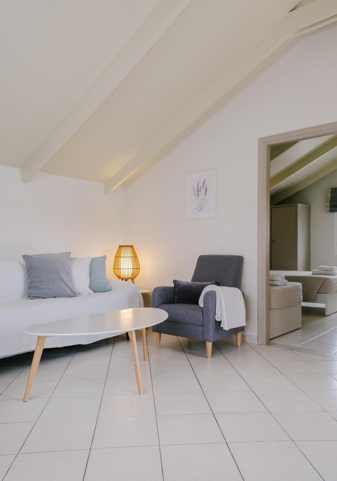Blue House Apartments Vasilikí 部屋 写真